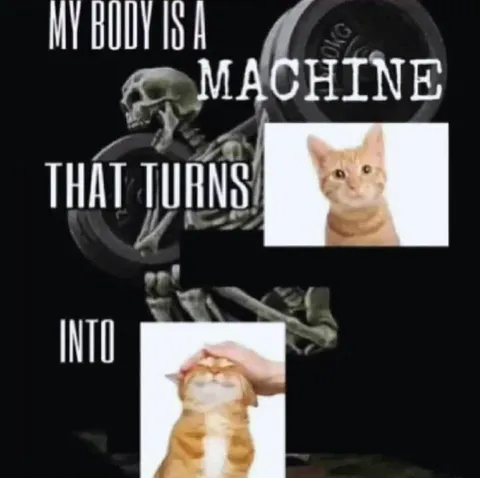 My Body Is a Machine
