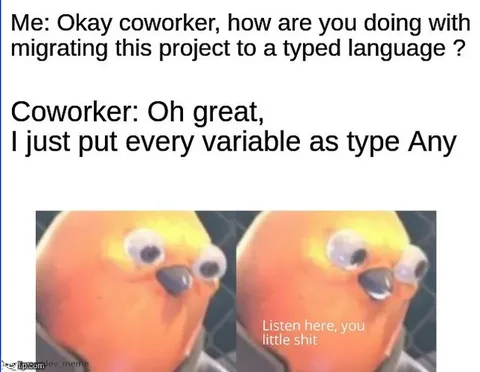 Typed Language Any Type