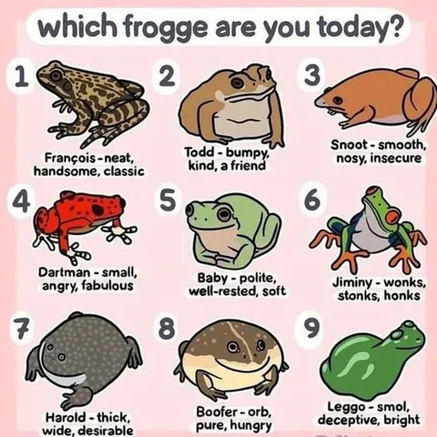 Which Frogge Are You Today?