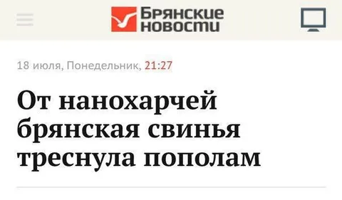 Брянская свинья треснула пополам