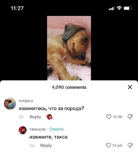 Извините, такса