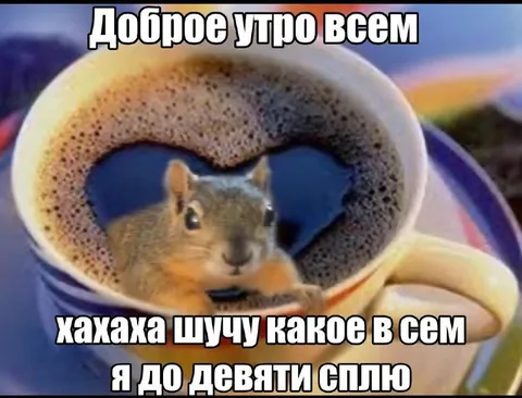 Белка в чашке кофе утром