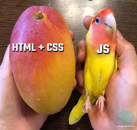 HTML CSS Versus JavaScript