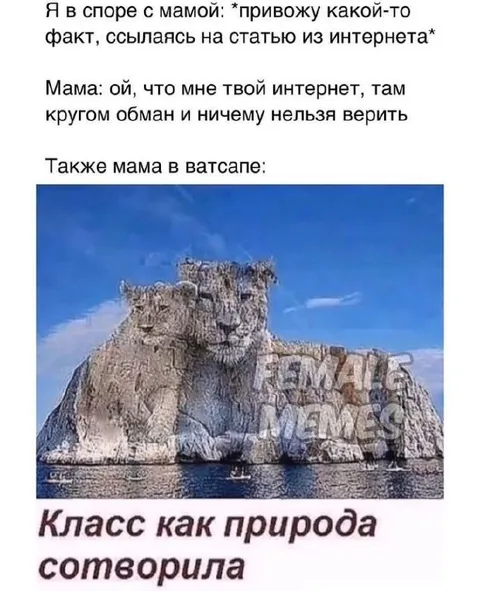 Мама в споре и ватсапе