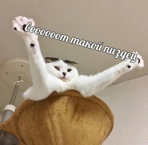 Вот такой пиздец