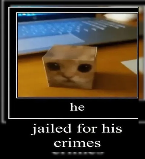 He Jailed for His Crimes