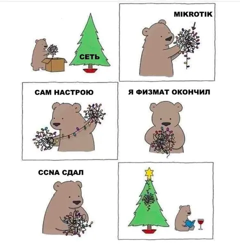 Медведь сдал сетевые экзамены