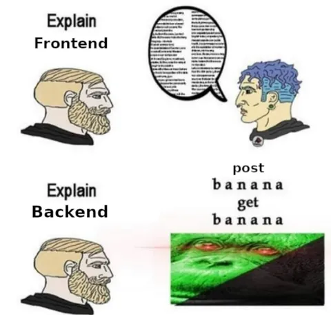 Explain Frontend vs Backend
