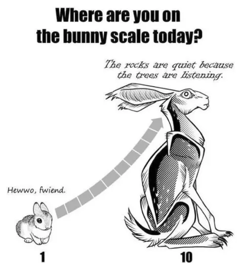 Where Are You on the Bunny Scale