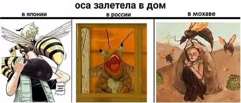 Оса залетела в дом
