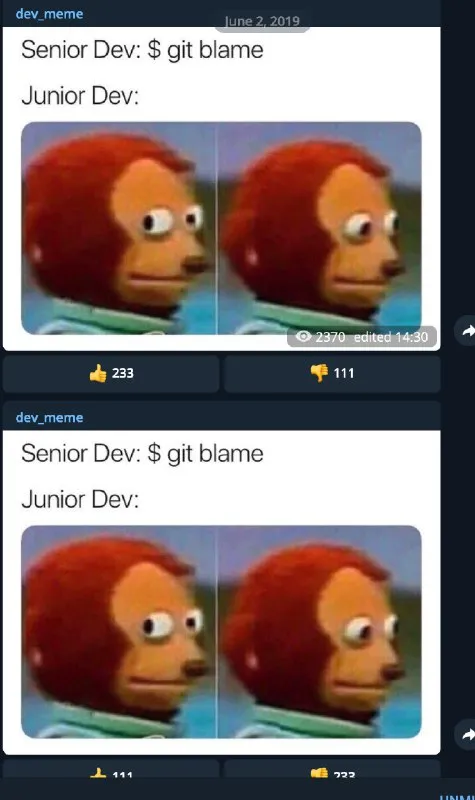 Junior Developer Runs Git Blame
