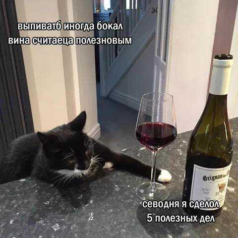 Бокал вина за пять дел