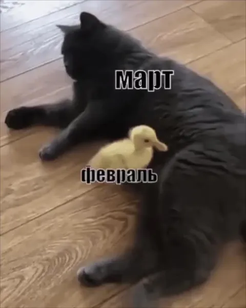 Февраль уходит, март приходит