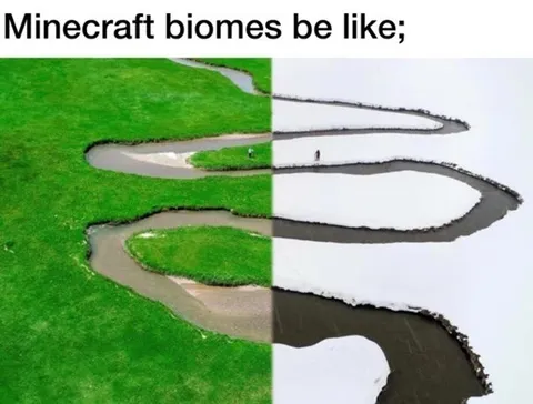 Minecraft Biomes Be Like