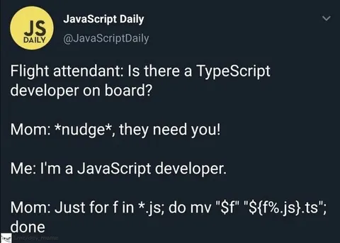 JavaScript Developer Pretends to Be TypeScript