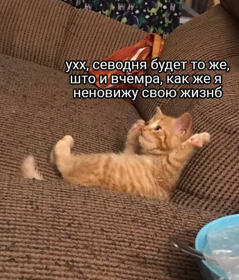 Сегодня будет то же, что вчера