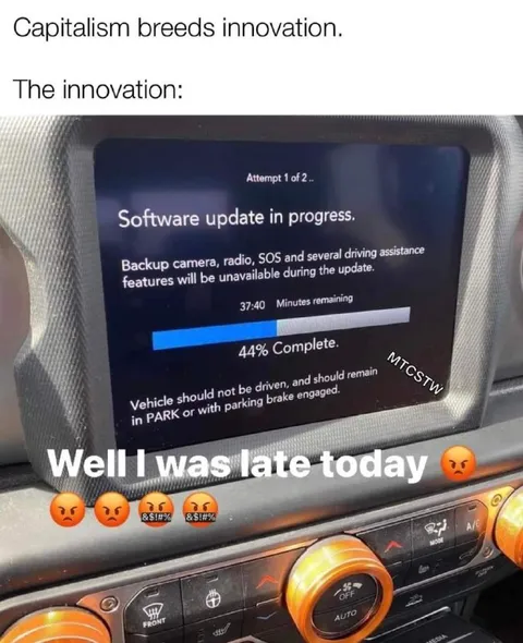 Capitalism Breeds Innovation