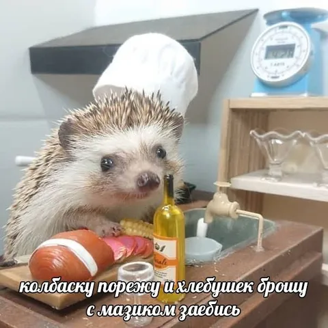 Ёжик готовит бутерброд