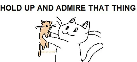 Hold Up and Admire That Thing