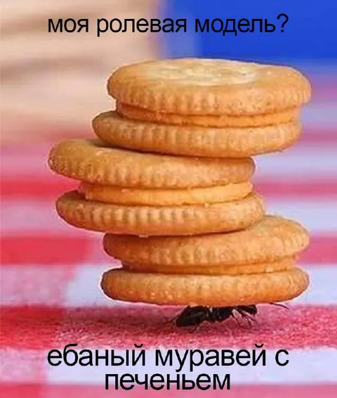Муравей с печеньем