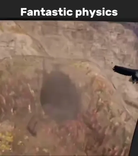 Fantastic Physics Helicopter Fail