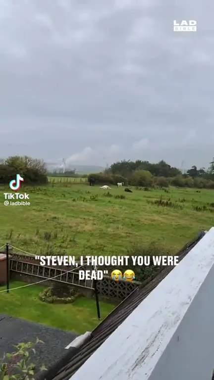 Steven Thought You Were Dead