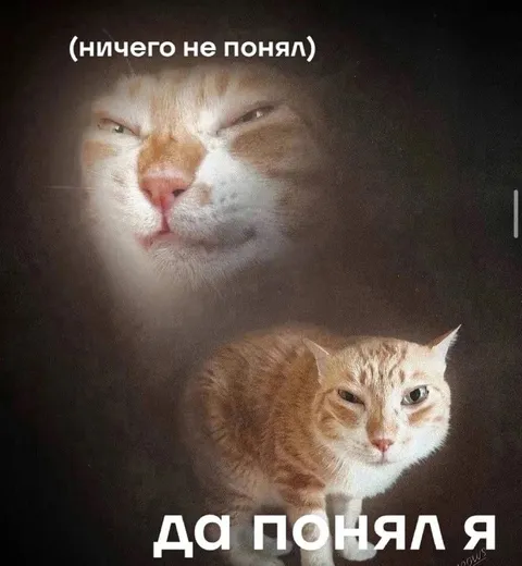 Да понял я