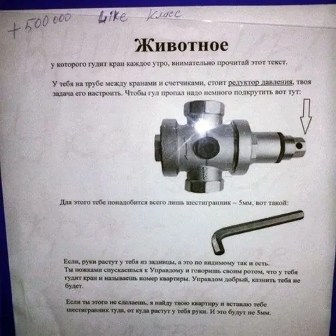 Животное и гудящий кран