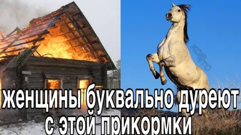 Женщины буквально дурeют с этой прикормки