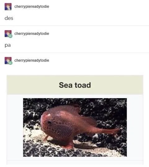 Sea Toad Des Pa