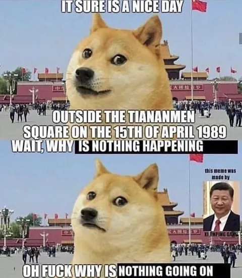 Doge at Tiananmen Square