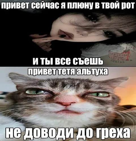 Не доводи до греха