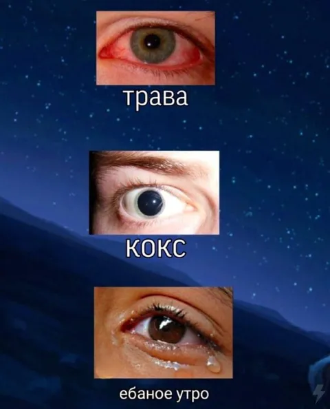 Трава, кокс и ебаное утро