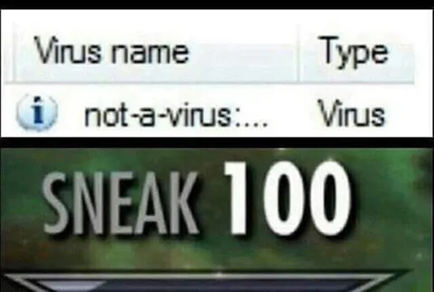 Not-a-Virus Sneak 100