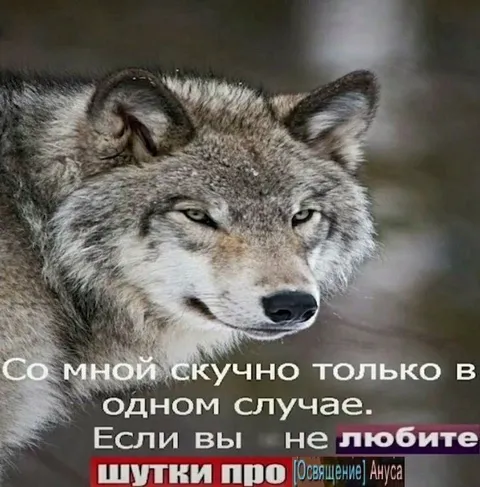 Шутки про освящение ануса