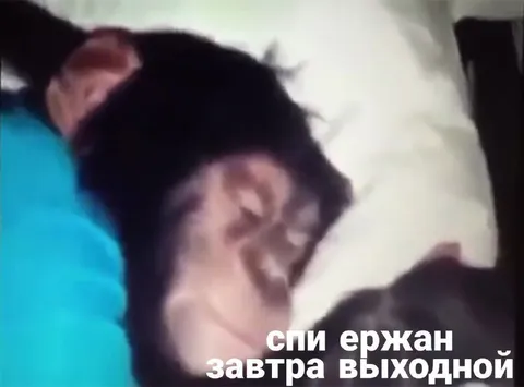 Спи Ержан, завтра выходной