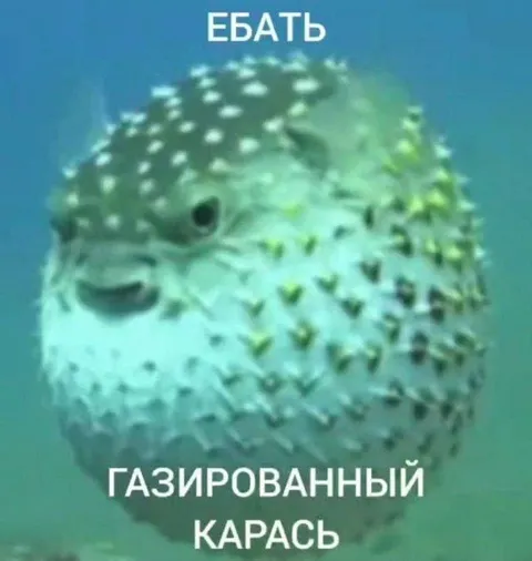 Газированный карась