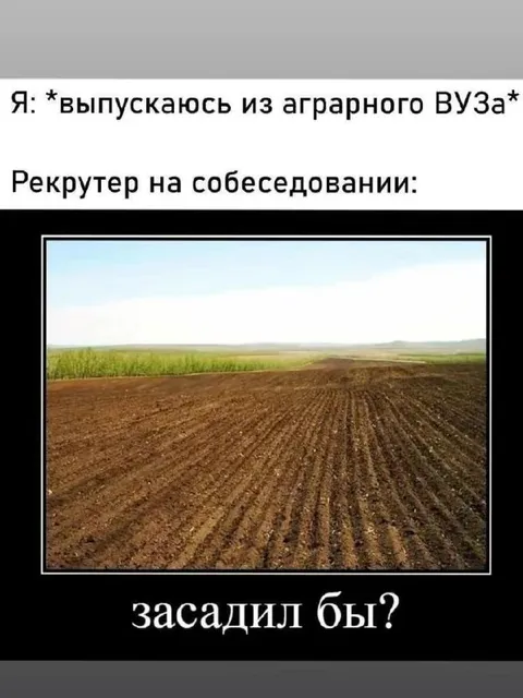 Выпускник аграрного ВУЗа на собеседовании