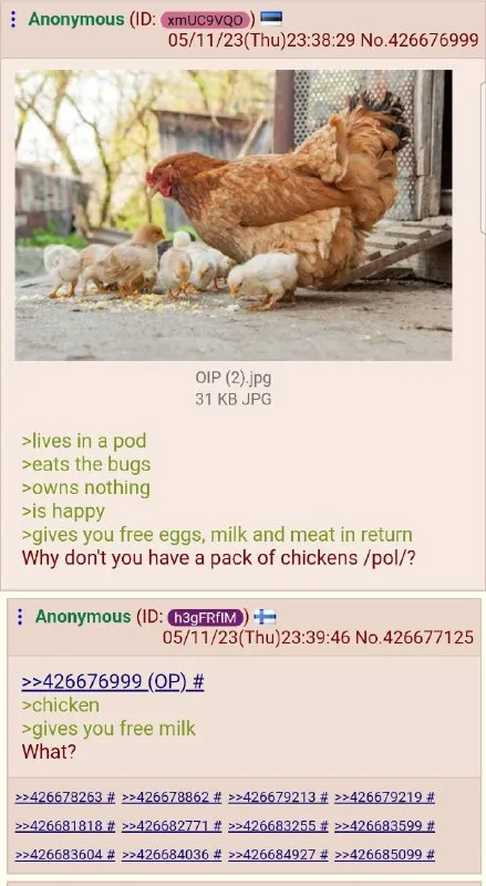 Why Don't You Have Chickens?