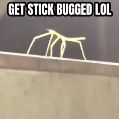 Get Stick Bugged LOL