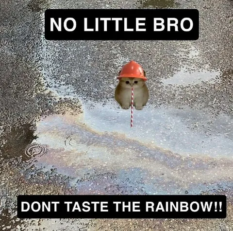 No Little Bro, Don't Taste the Rainbow