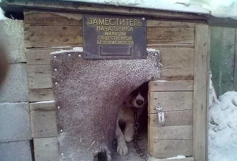 Заместитель начальника милиции