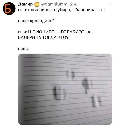 Шпиониро, голубиро и балерина