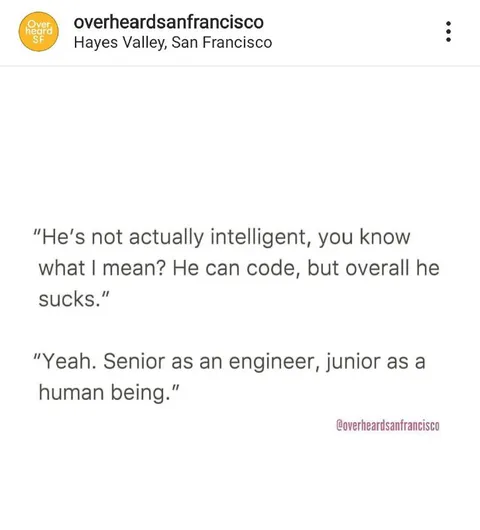 Senior Engineer, Junior Human
