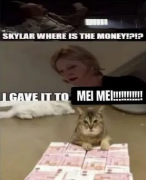 Skylar Where Is the Money