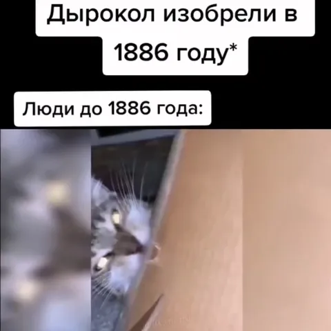 Дырокол и люди до 1886 года