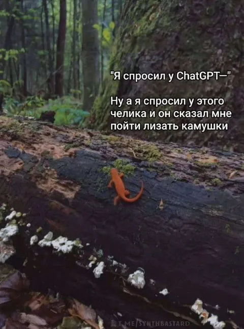 Пойти лизать камушки