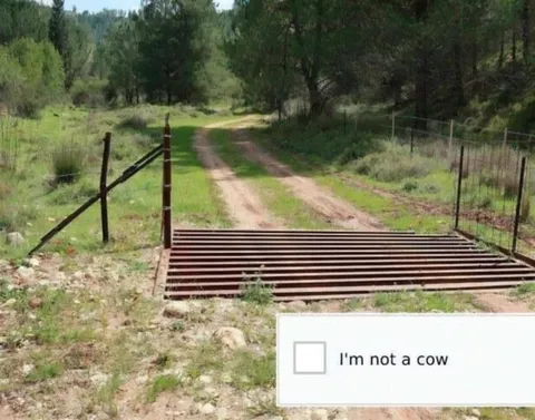 I'm Not a Cow Checkbox