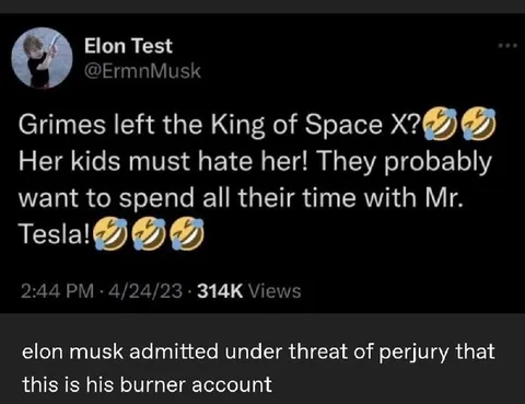Elon Musk Burner Account