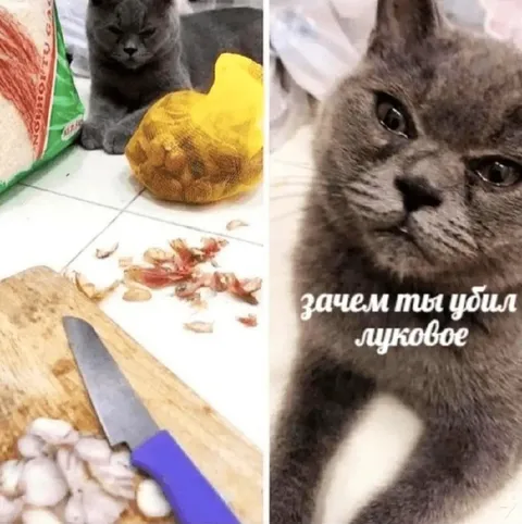 Зачем ты убил луковое